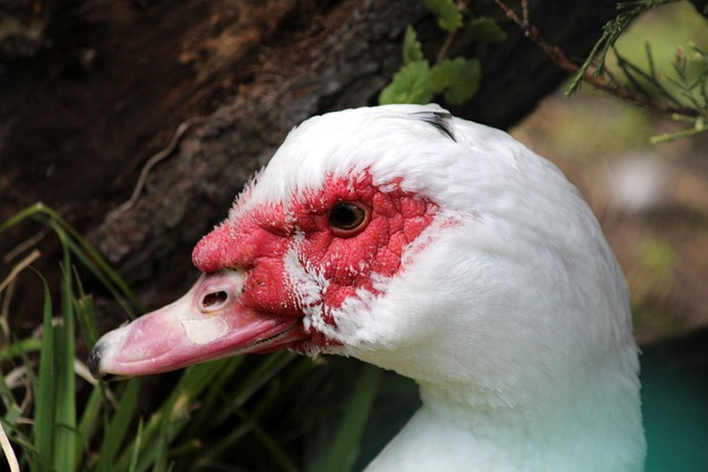 不仅是为了 不仅是为了