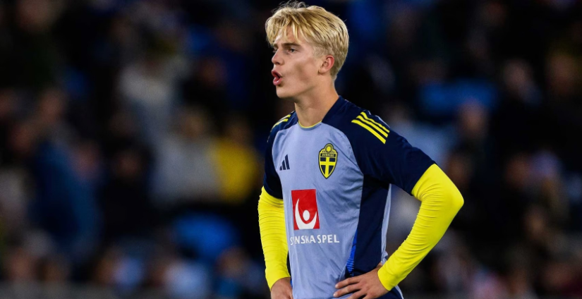 有分析认为 有分析认为