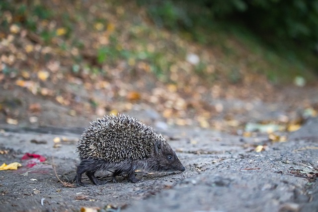 场并罚款 场并罚款