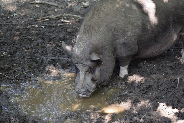 引起了广泛 引起了广泛