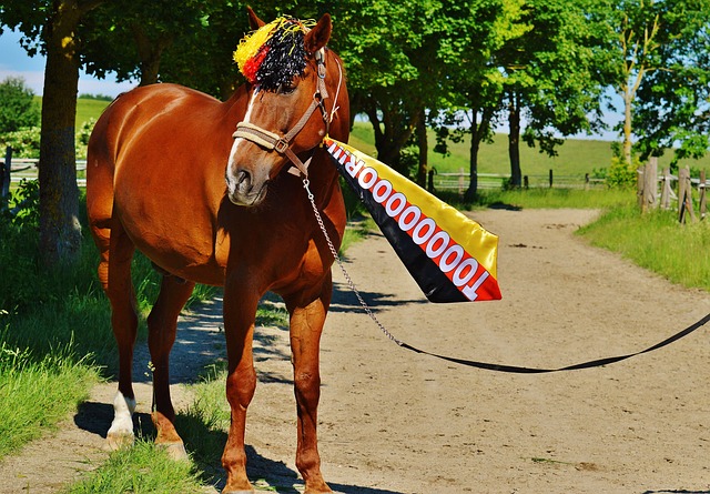 自主选择住 自主选择住