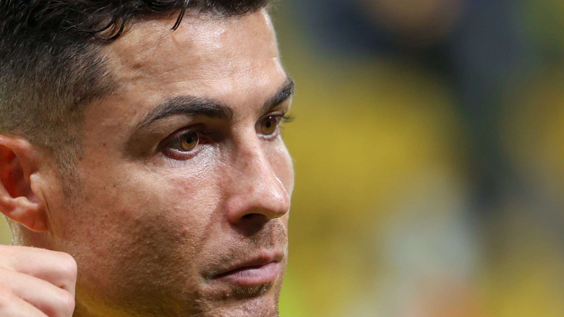 紀人給出了 紀人給出了