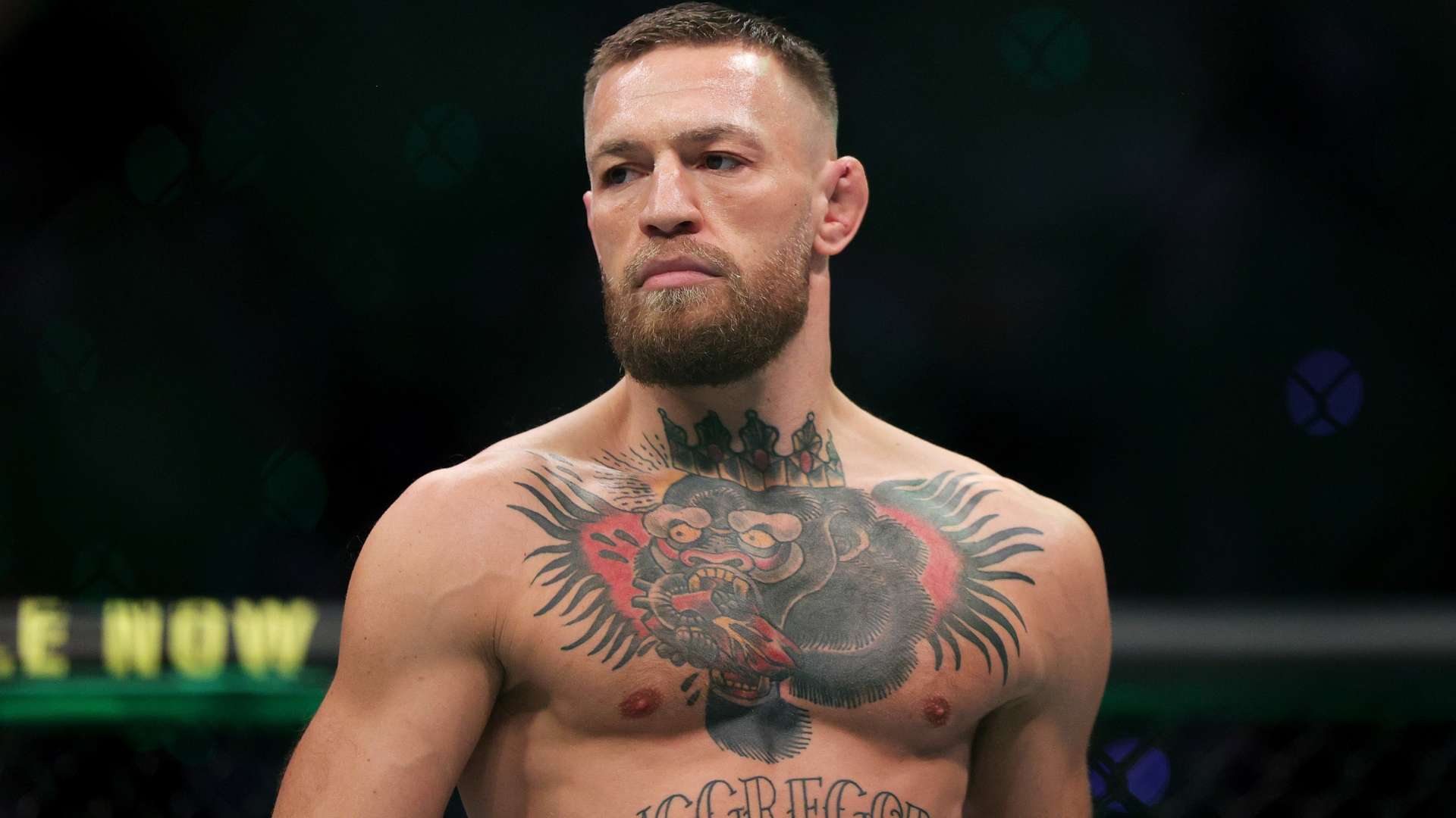 參加歐洲冠 參加歐洲冠