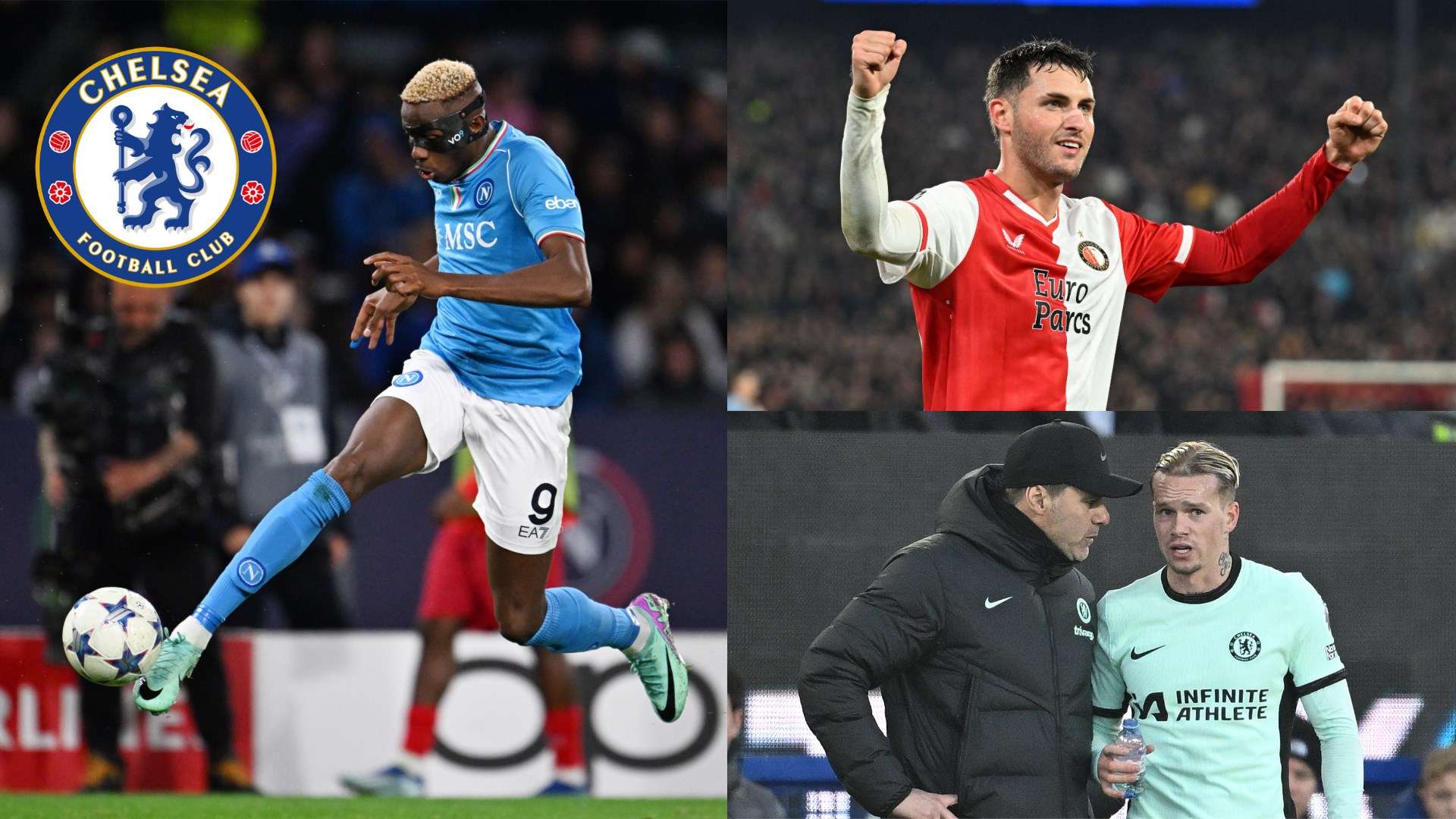 以及如何應 以及如何應